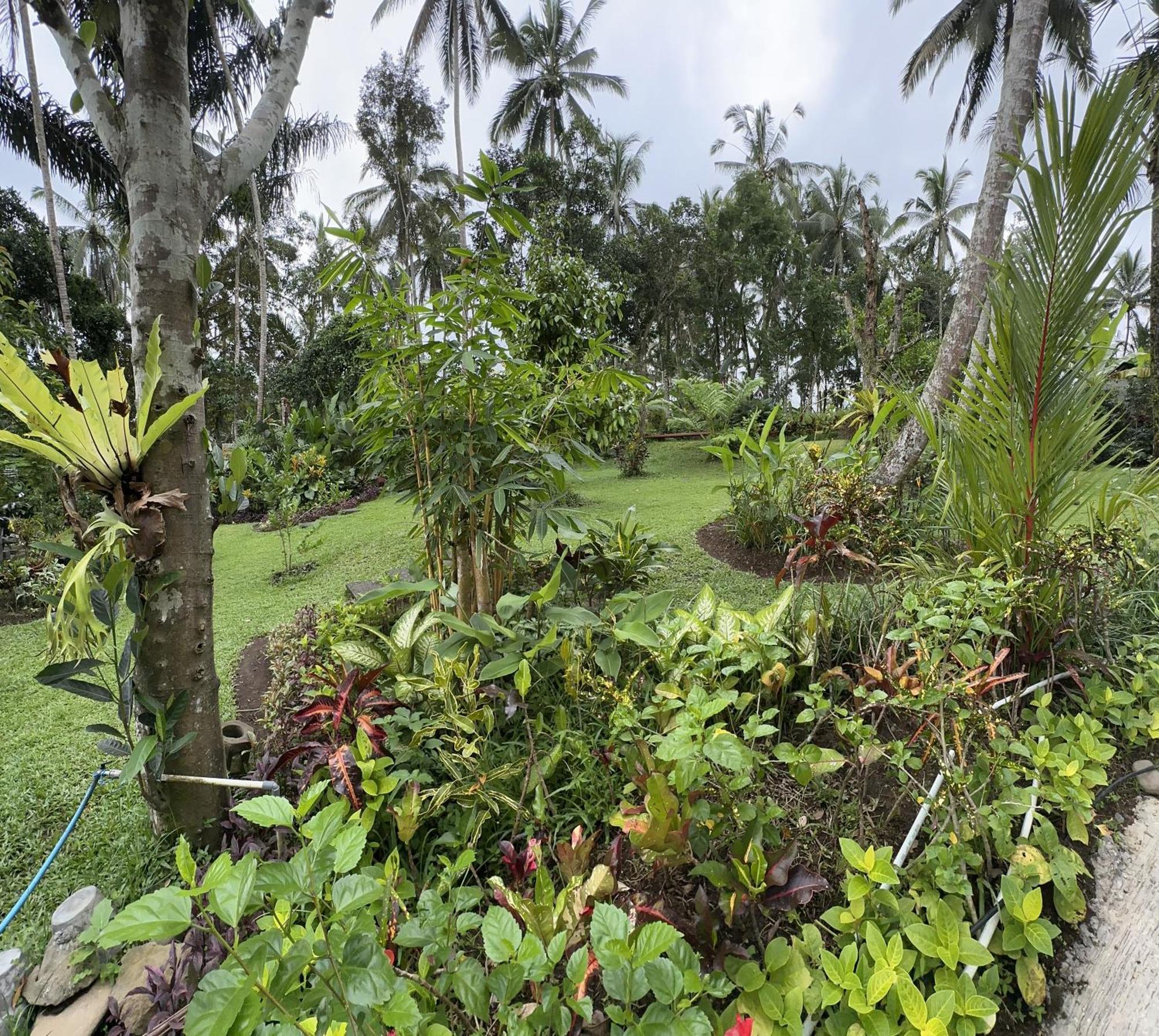 Kaja Villa Ubud Extérieur photo